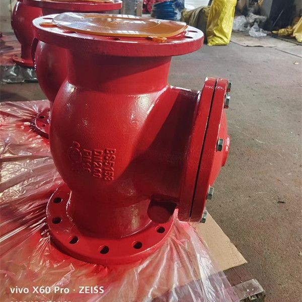 swing check valve 2(001)